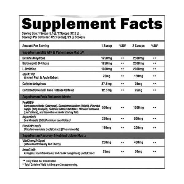 Alpha Lion SuperHuman Sport 256g Pre-Workout Nutritionals Protein Superstore